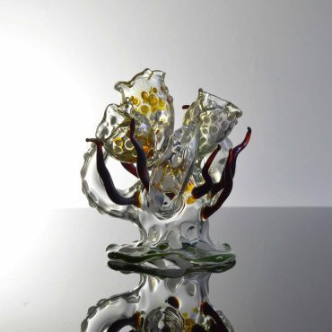 Lakeside Coral