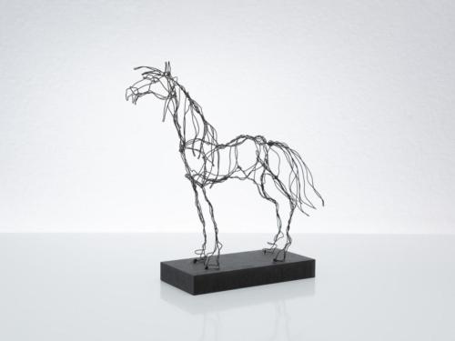 Hanna Ruijsenaars Häst003